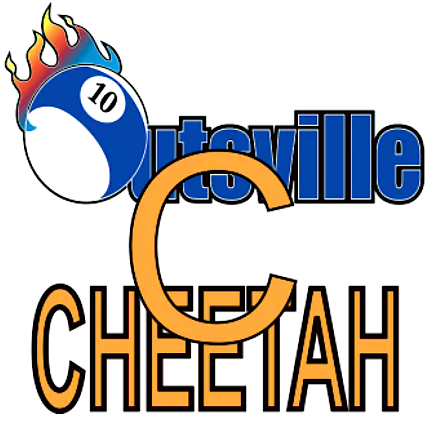 Outsville Cheetah Breaking Pool Cue Tip