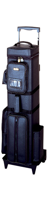 Action AC1224 12Bx24S Black Billiards Pool Cue Stick Case