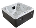 Aquatic Spas Athena 110V/220V Hot Tub